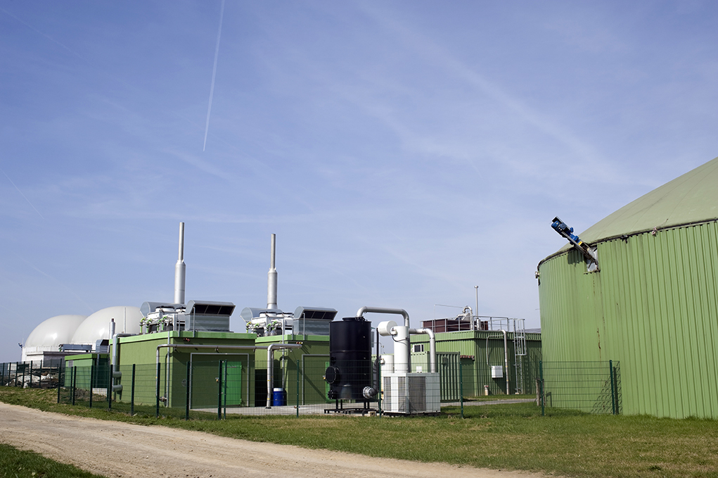 chiller biogas cogeneration