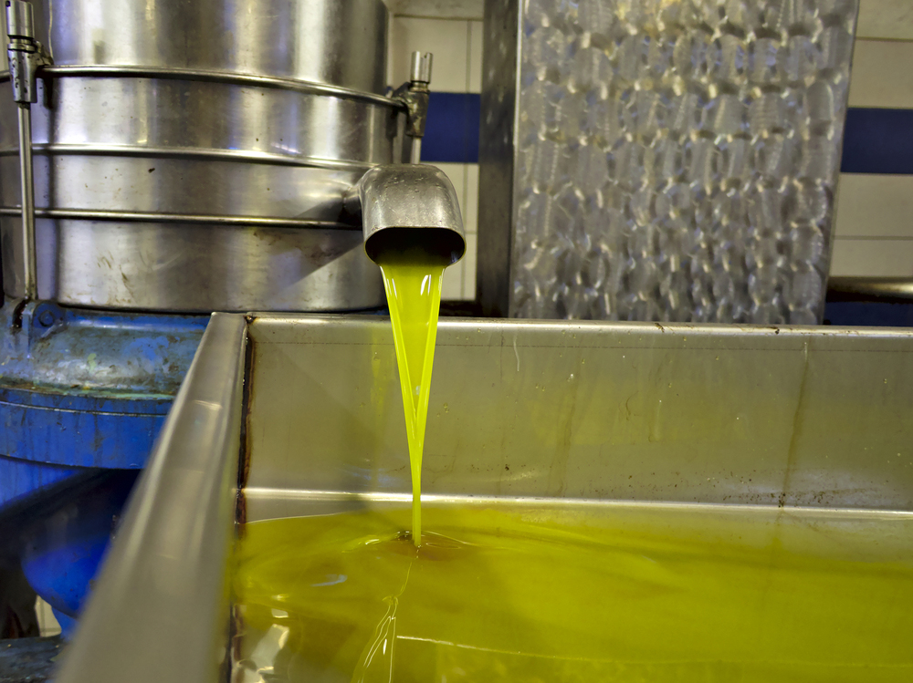Tempco scambiatori gramolatura pasta olive olio